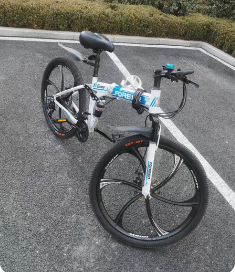 永久自行车，低价出售，折叠式，原价2000...