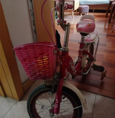 飞鸽牌 感兴趣的话点“我想要”和我私聊吧～￥100