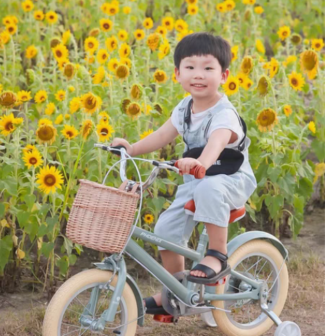 凤凰儿童自行车 自提轻微使用痕迹Phoen...