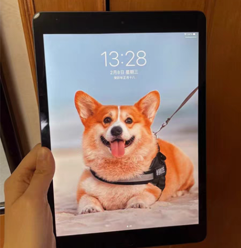 ipad 6国行 金色 32G 全新仅拆封...