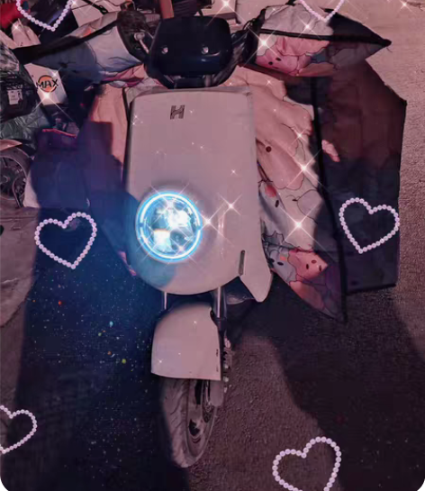 48伏20安铅酸电动车，新国标，绿牌，大显...