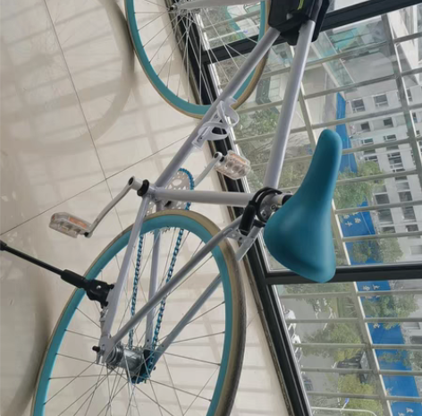 死飞倒刹车,实心胎,带一个小工具包,一个袋...