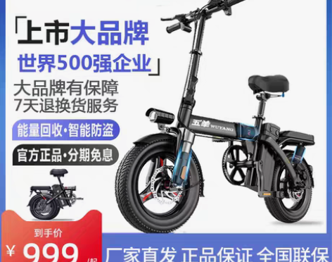 转卖替家里人出｜五羊电动车折叠车新国标电动...