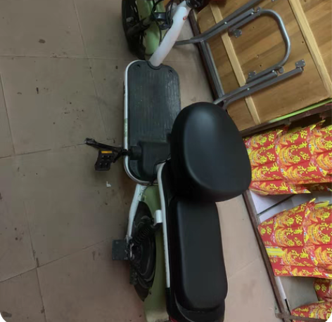 五羊电动车，天能石墨电池，买了半年，家里人...