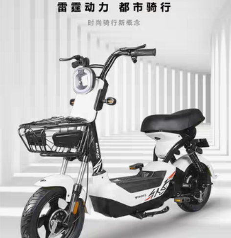 国标电动车成人电动自行车 配置等级：标准型...