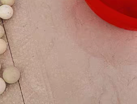 107个练习乒乓球 双鱼和金亚牌混合￥50...