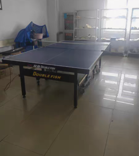 双鱼乒乓球桌带滚轮，原价1800，现价10...
