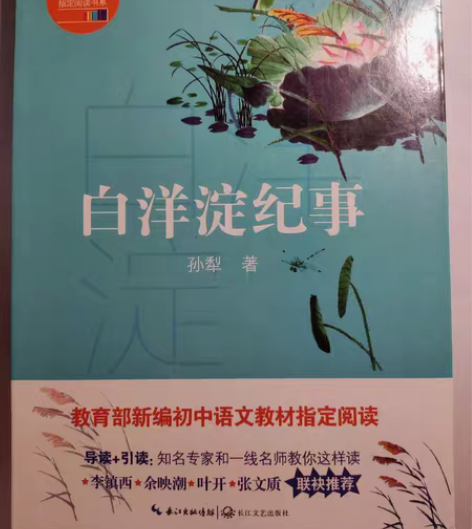 《白洋淀纪事》据说写得很好,但是我看不懂,...