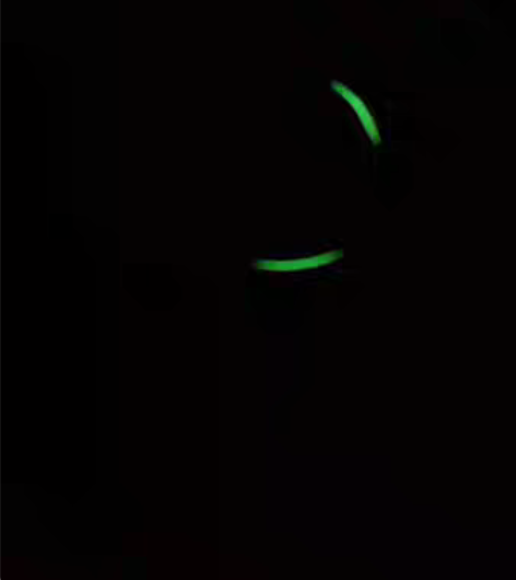 包邮各类平面设计，AI，PS，VR全景拍摄...