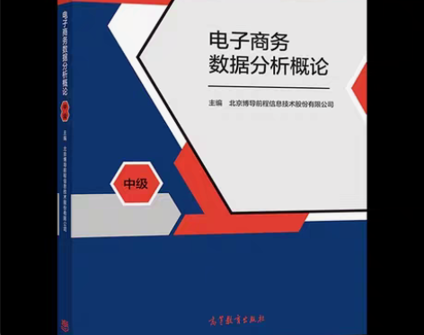 包邮二手正版   电子商务数据分析概论 中...