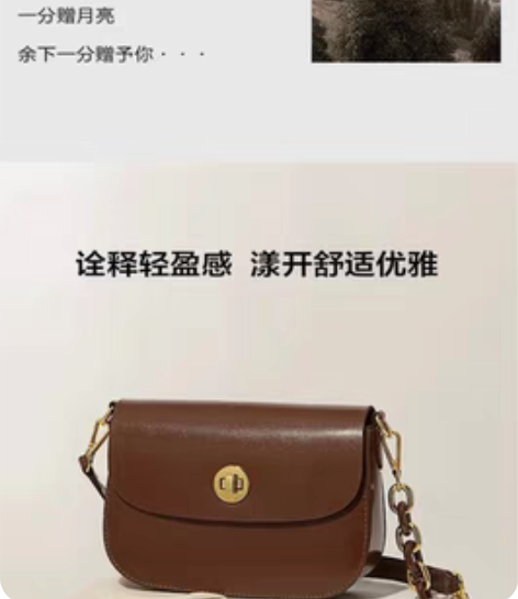 纽芝兰女士包，全新未拆封，旗舰店原价339...