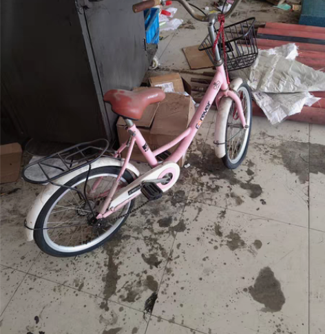 上海永久自行车，放了好久了，200自提 感...