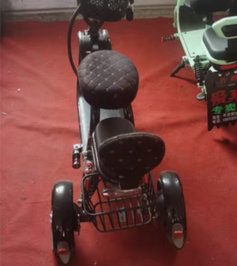 包邮德国电动三轮车家用小型代步车接娃电三轮...