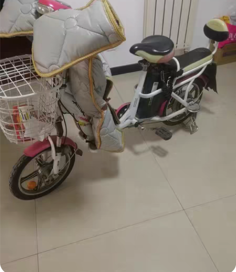 爱玛电动车，家用的电池很好用，平时就买个菜...