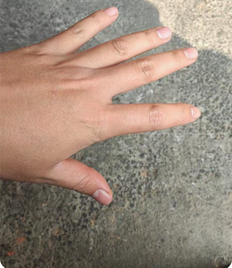 包邮全新 出售本人300一天。出门但是又不...