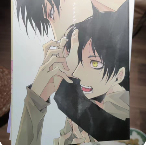 在日本买的同人那啥本    ，均价65r出...