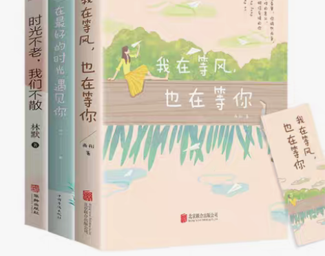 包邮我在等风也在等你雨彤著都市言情青春文学...