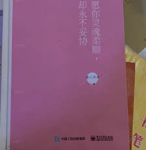 愿你灵魂柔顺却永不妥协人生哲学青春文学成功...