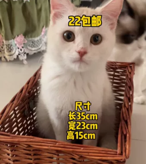 清库存 柳编筐可拆卸盖子 22包邮   收...