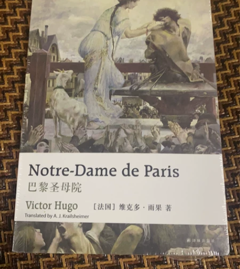 巴黎圣母院 新华书店 全新塑封未拆 定价4...