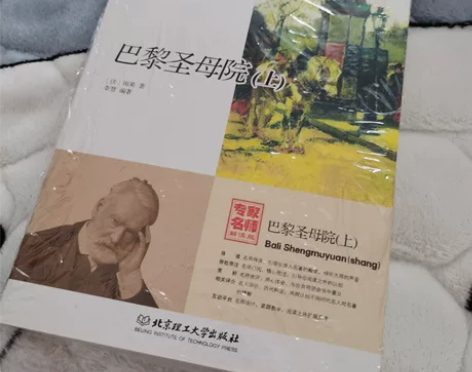 巴黎圣母院，分上下两本，好看！ 感兴趣的话...