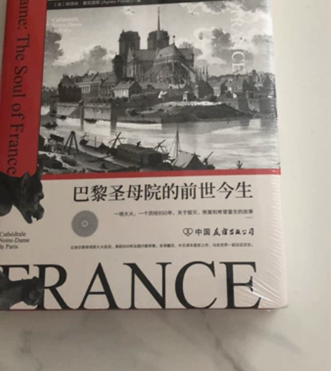 【全新正版】法国之魂：巴黎圣母院的前世今生...