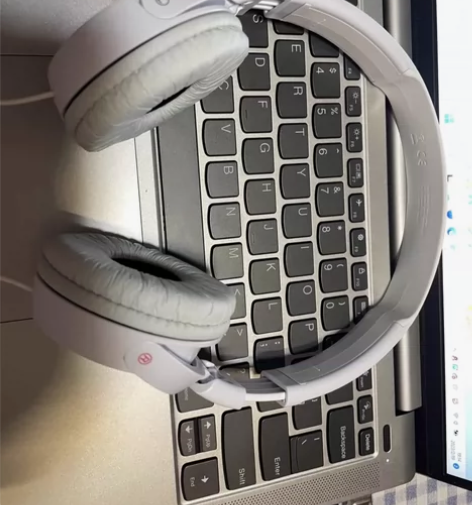 Sony/索尼 MDR-ZX110AP 全...