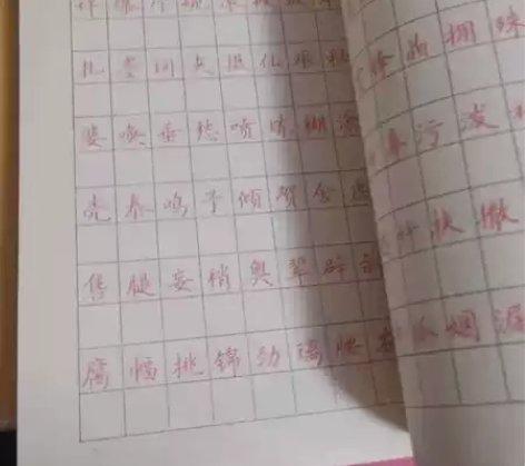 钢笔练字帖 卢中南楷书字帖16k。稀有绝版...