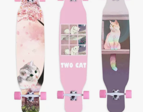 滑板专业板成人成年初学者公路刷街四轮韩国女...