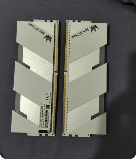 出俩个ddr4威刚d503600c18白内...