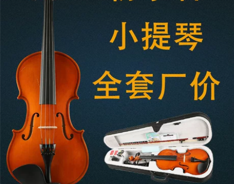 浩成初学者小提琴成人儿童入门练习小提琴自学...