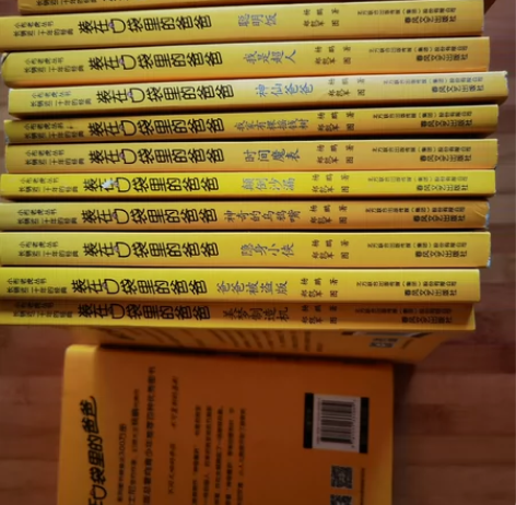 正版图书《装在口袋里的》信誉保证，正版图书...