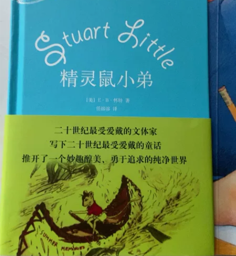 断舍离清理家中闲置，《亲爱的汉修先生》和精...