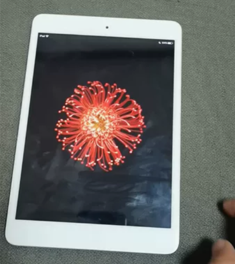 iPad mini1 16G，送跟线，没有...