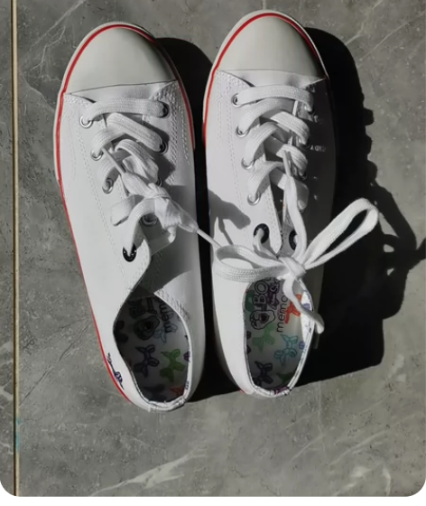 斯凯奇帆布鞋女 36.5号，仅试穿全新37...