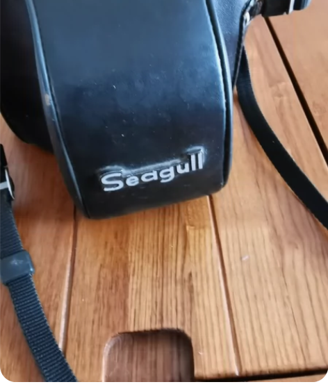 转让：海鸥DF—1照相机一台，已闲置多年未...