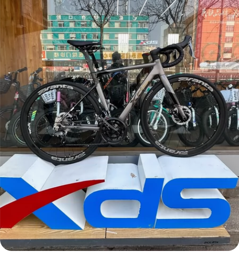 【全新】喜德盛新款RS350全内走，一体把...