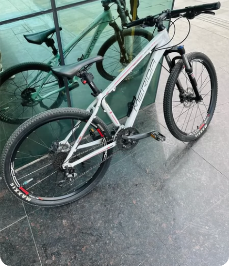 美利达挑战者300  要看哪里拍哪里 好久...