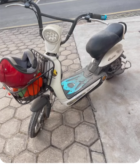 飞鸽电动车 买了就一直放着没骑几次 充电器...