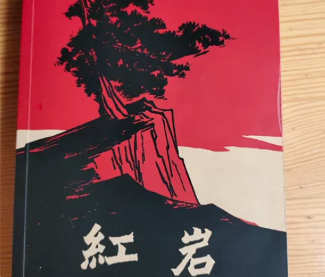 红岩 中考必考 名著必读 重点初中学校推荐...