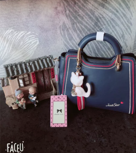 欧时纳全新女包,新款女包,很好看的一款呢,...