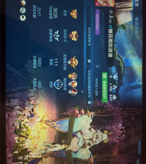 安卓v区说实话王者号不值钱了想赶紧卖掉回点...