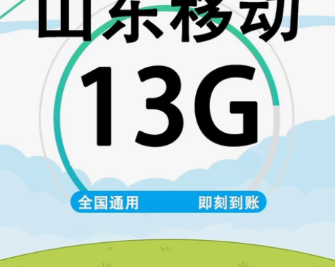 山东移动移动流量流量 13G移动流量包山东...