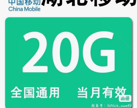 湖北移动流量20g流量加油包移动流量包流量...