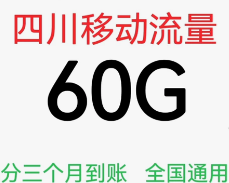 四川移动流量60G通用国内流量加油包叠加包...