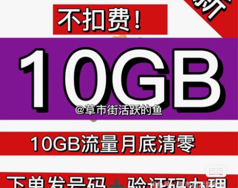 上海电信 电信流量 10GB  （不扣费！...
