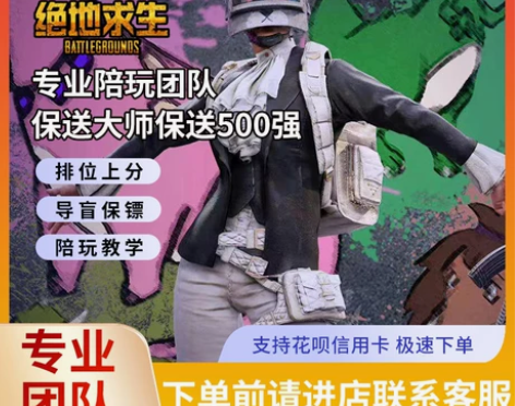 绝地求生PUBG陪玩专业陪练竞技上分车队