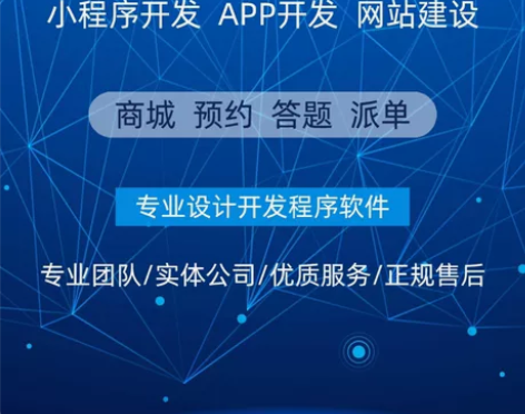小程序开发/网站建设/APP开发/web系...