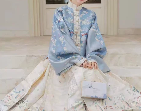 知否原创汉服女春季新款明制立领对襟琵琶袖