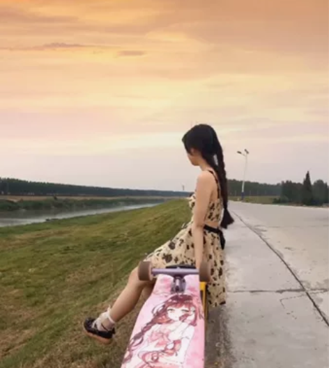 逆袭品牌长板陆地冲浪板专业板陆地冲浪板滑板初学者女生成人男生...